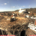 15_50-nest.jpg