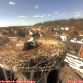 15_55-nest.jpg