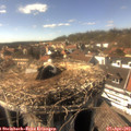 16_00-nest.jpg