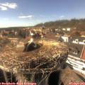 16_05-nest.jpg