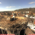 16_10-nest.jpg