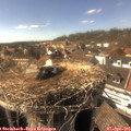16_15-nest.jpg