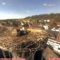 16_20-nest.jpg