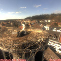 16_30-nest.jpg