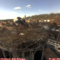 16_35-nest.jpg