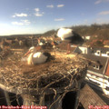 16_40-nest.jpg