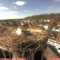 16_45-nest.jpg