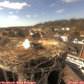 16_50-nest.jpg
