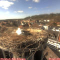 16_55-nest.jpg
