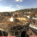 17_05-nest.jpg