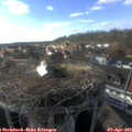 17_20-nest.jpg