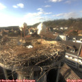 17_25-nest.jpg
