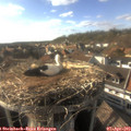 17_30-nest.jpg