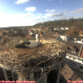 17_35-nest.jpg