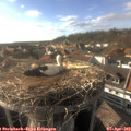 17_40-nest.jpg