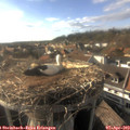 17_45-nest.jpg