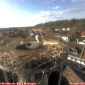 17_50-nest.jpg