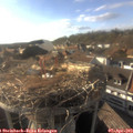 17_55-nest.jpg