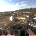 18_00-nest.jpg