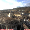 18_25-nest.jpg