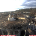 18_45-nest.jpg