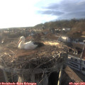 19_00-nest.jpg