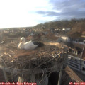 19_05-nest.jpg