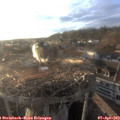 19_10-nest.jpg