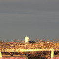 19_35-mast.jpg