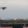 06_45-mast.jpg