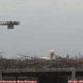 07_00-mast.jpg