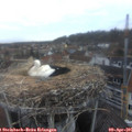 07_00-nest.jpg