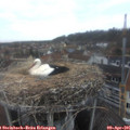07_10-nest.jpg