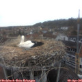 07_25-nest.jpg