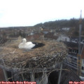 07_30-nest.jpg