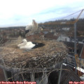 07_45-nest.jpg