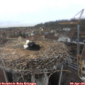 09_20-nest.jpg