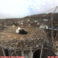 09_50-nest.jpg