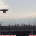 10_00-mast.jpg