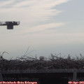 10_05-mast.jpg
