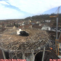 10_05-nest.jpg