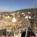 10_25-nest.jpg