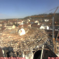 10_35-nest.jpg