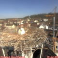 10_40-nest.jpg