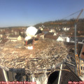 10_55-nest.jpg