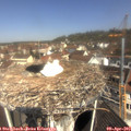 11_00-nest.jpg