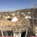 11_05-nest.jpg