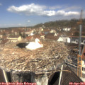 11_25-nest.jpg