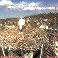 11_30-nest.jpg