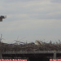 12_15-mast.jpg